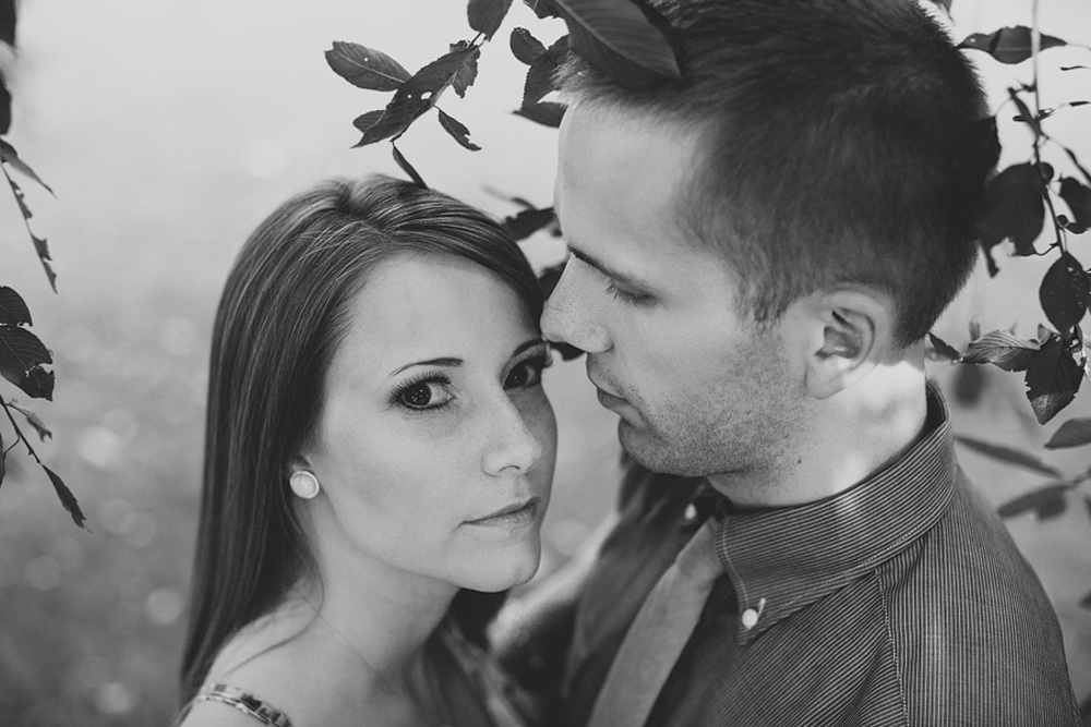 hartwood acres engagement session