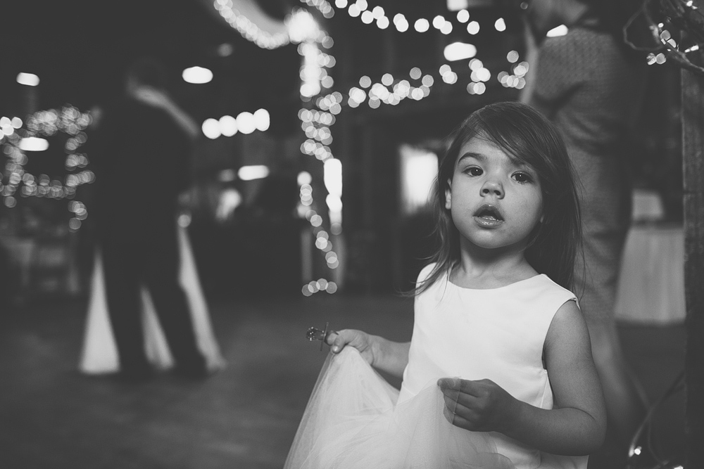 Pittsburgh-Wedding-Photographer-Alesia-Seth-Wedding085