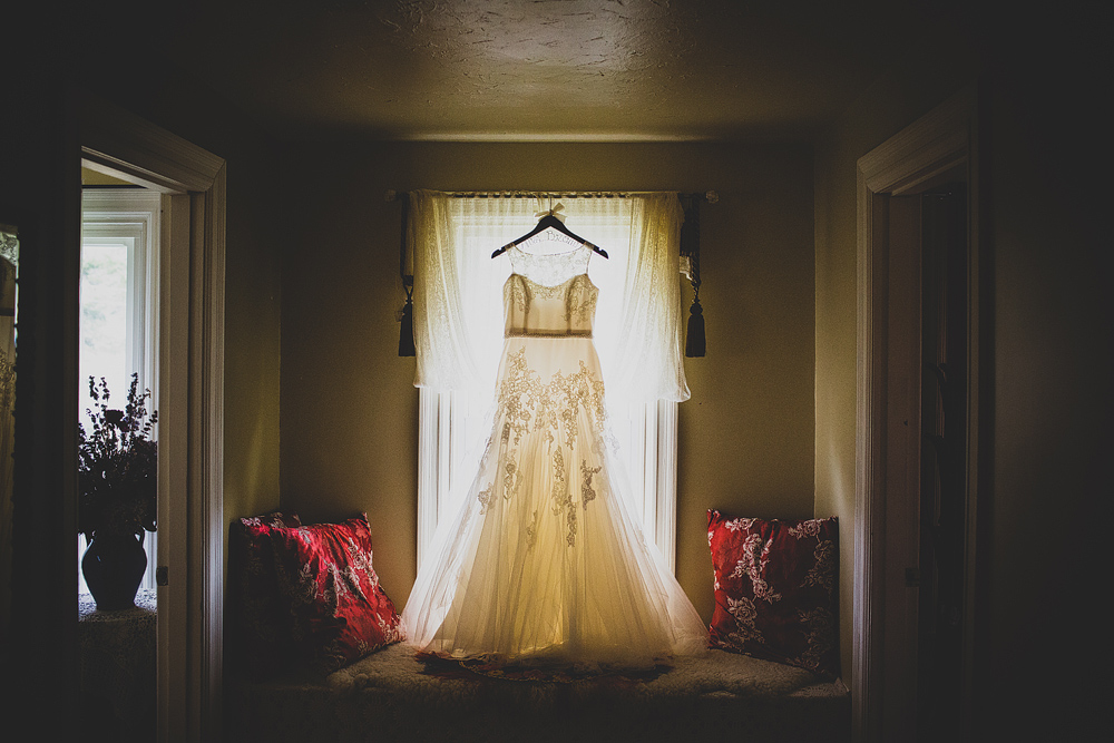 Pittsburgh-Wedding-Photographer-Lingrow-Farm-dresss