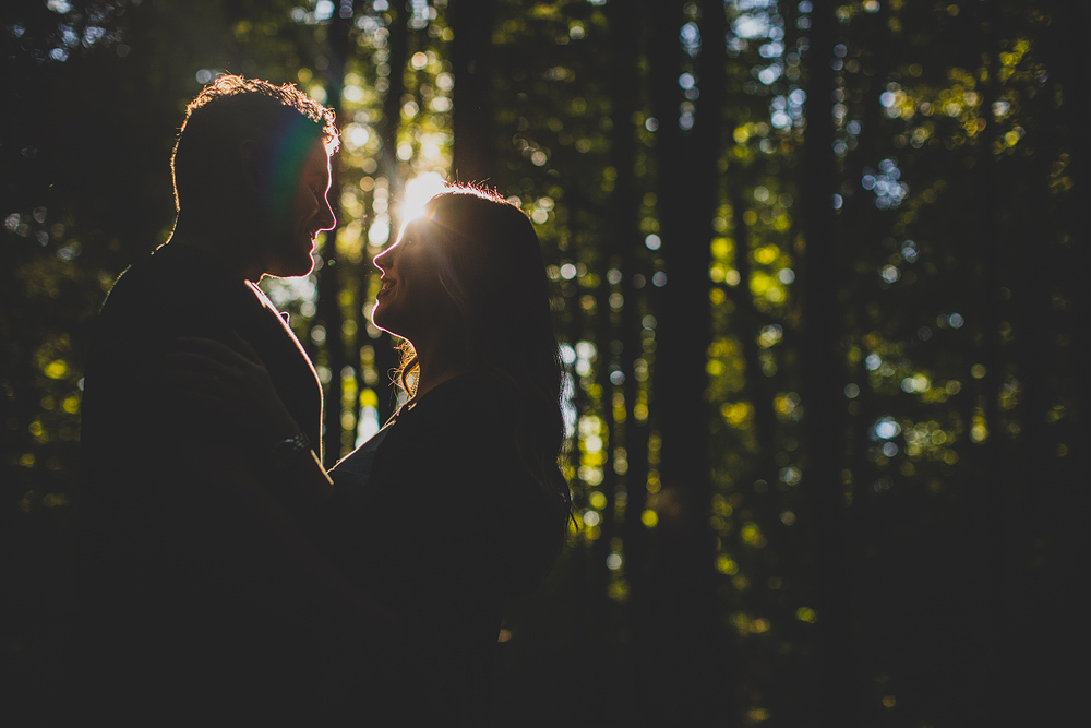Pittsburgh-Wedding-Photographer-Mcconnells-mills-engagement
