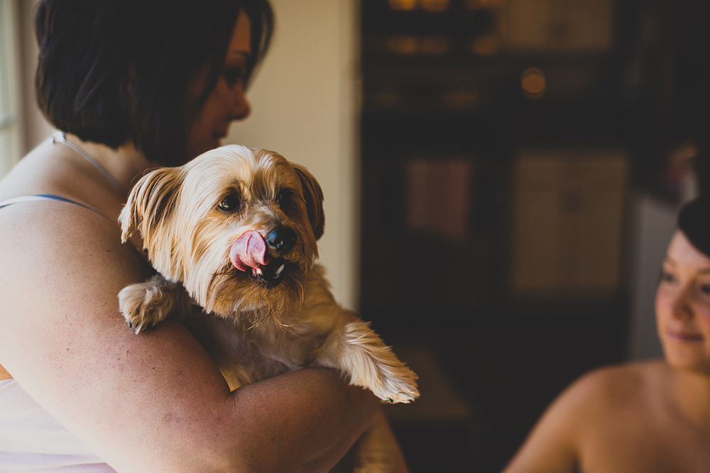 Pittsburgh-Wedding-Photographer-erin-todd-wedding014