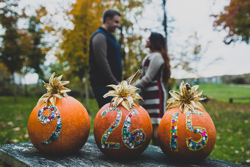 Pittsburgh-Wedding-Photographer-Janelle-Todd-Engagement037