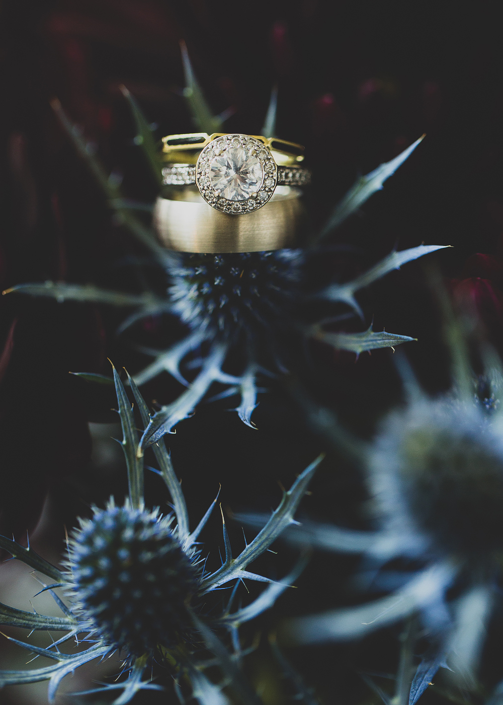 Pittsburgh-Wedding-Photographer-Lauren-Curtis-Wedding008