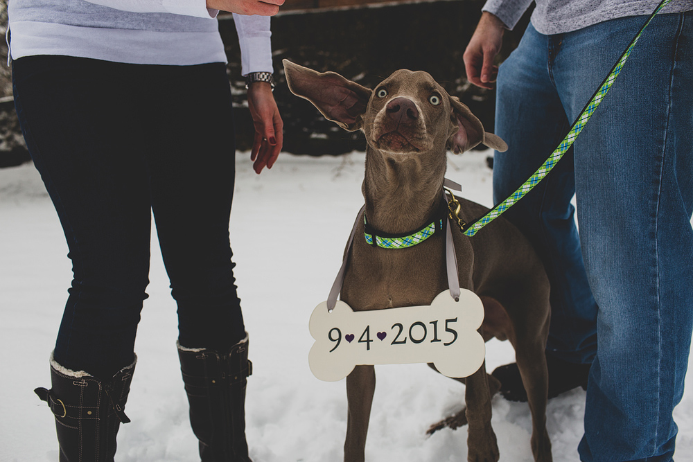 Pittsburgh-Wedding-Photographer-Amanda-Matt-Engagment002
