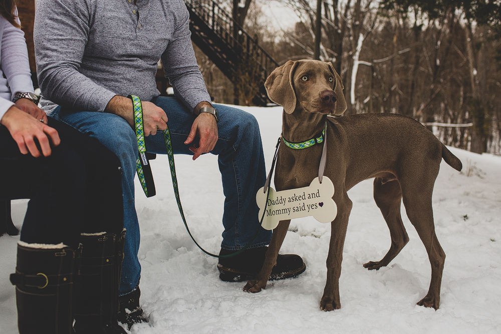 Pittsburgh-Wedding-Photographer-Amanda-Matt-Engagment005