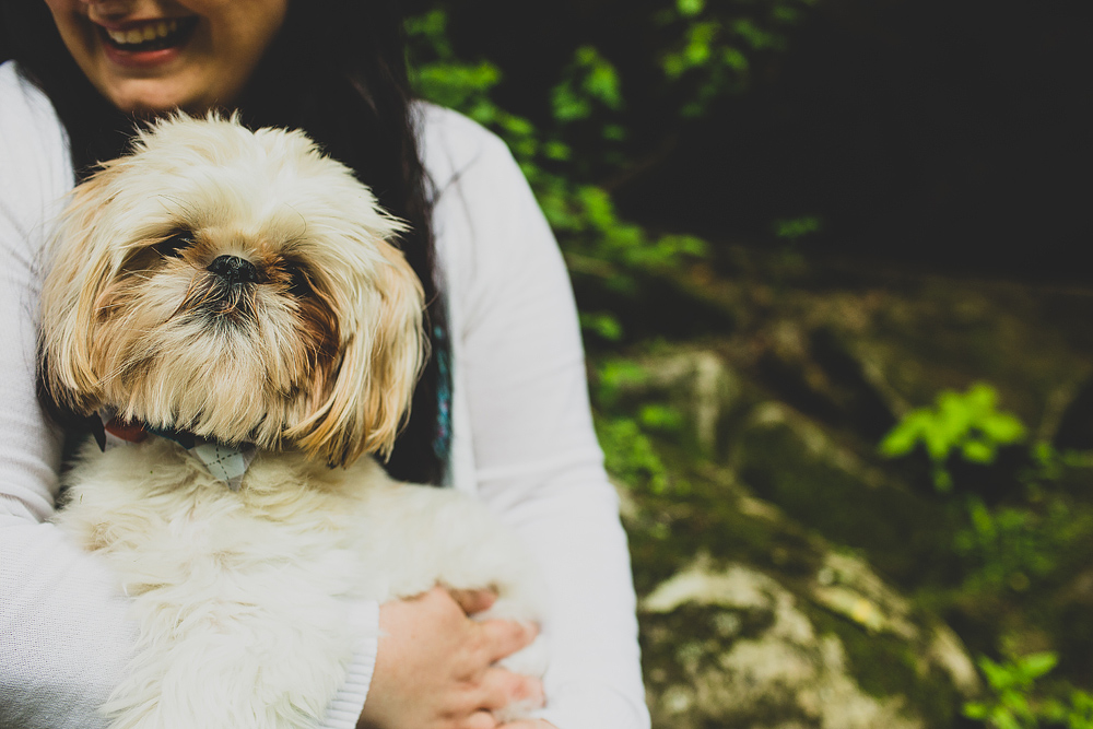 Pittsburgh-Wedding-Photographer-Alyssa-Mike-Wedding002
