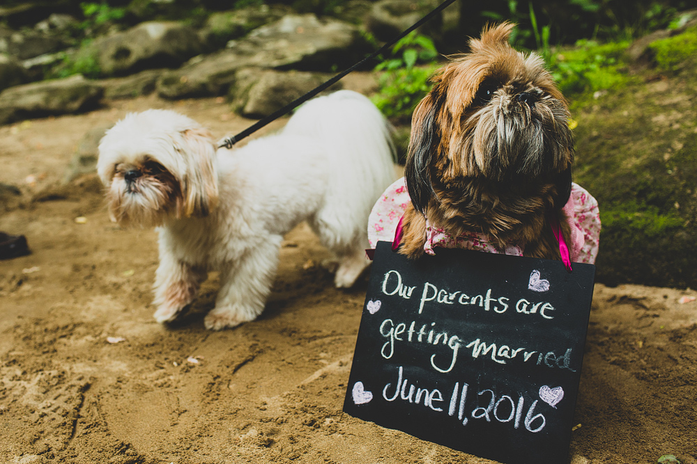 Pittsburgh-Wedding-Photographer-Alyssa-Mike-Wedding006