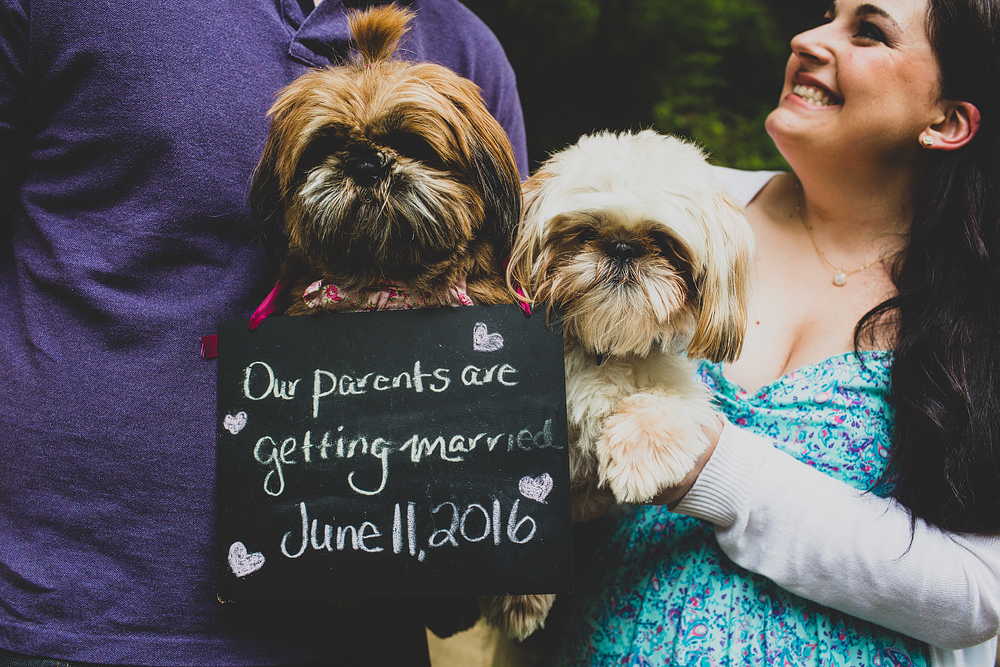 Pittsburgh-Wedding-Photographer-Alyssa-Mike-Wedding008