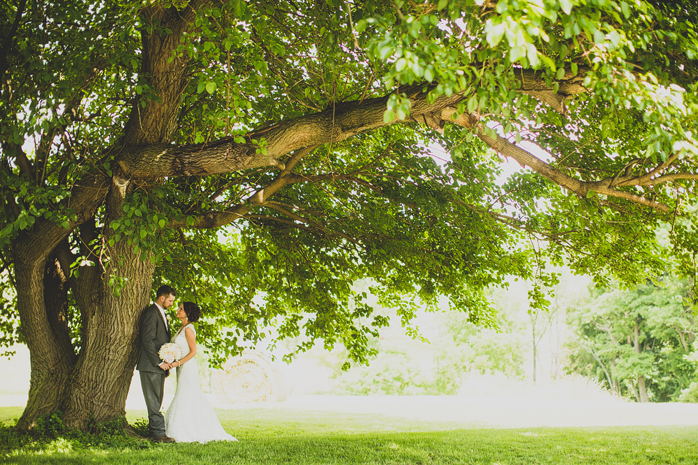 Pittsburgh-Wedding-Photographer-kara-colin-wedding045