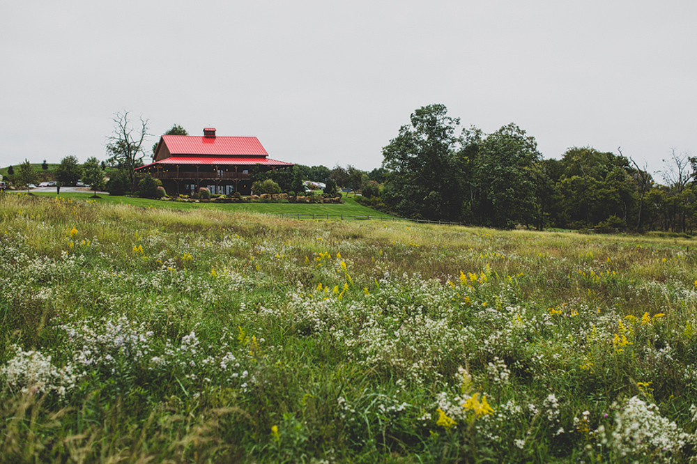 Pittsburgh-Wedding-Photographer-Jess-Jono062
