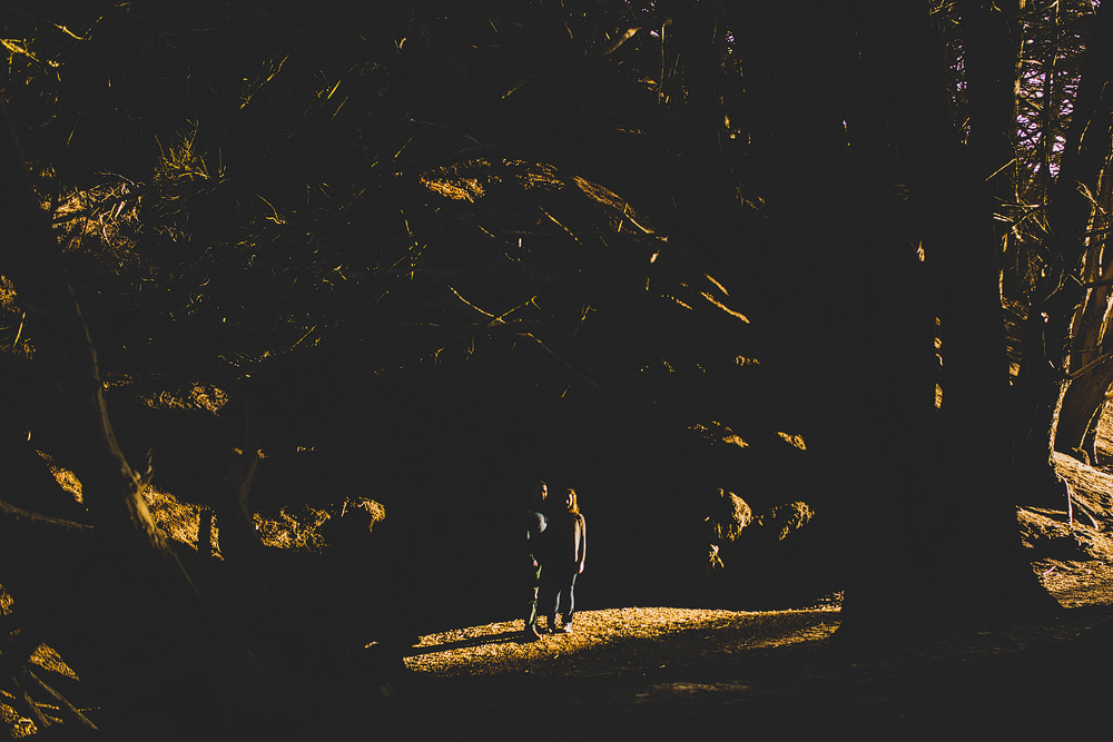 Pittsburgh-Wedding-Photographer-Jess-Jono027