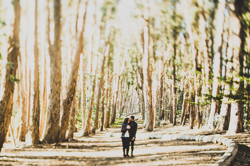 Pittsburgh-Wedding-Photographer-Jess-Jono010