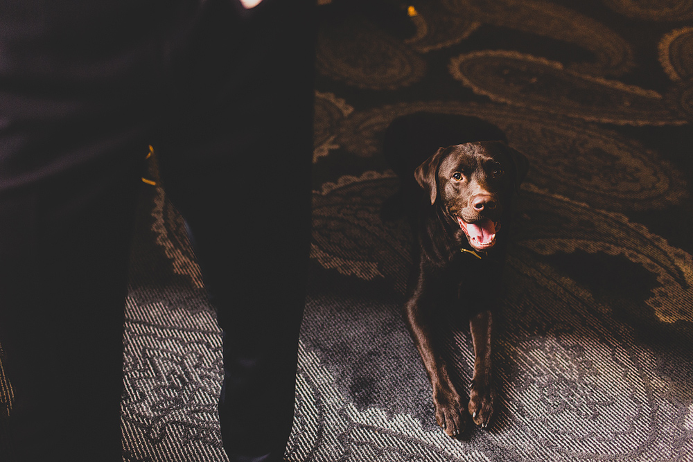 Pittsburgh-Wedding-Photographer-Jess-Jono023