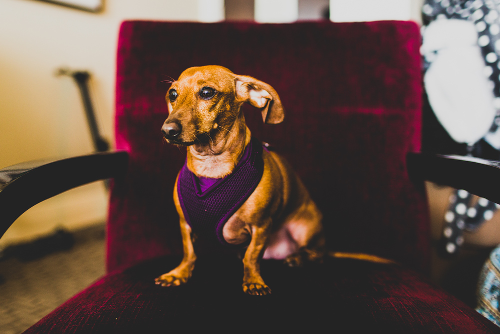 Pittsburgh-Wedding-Photographer-Jess-Jono039