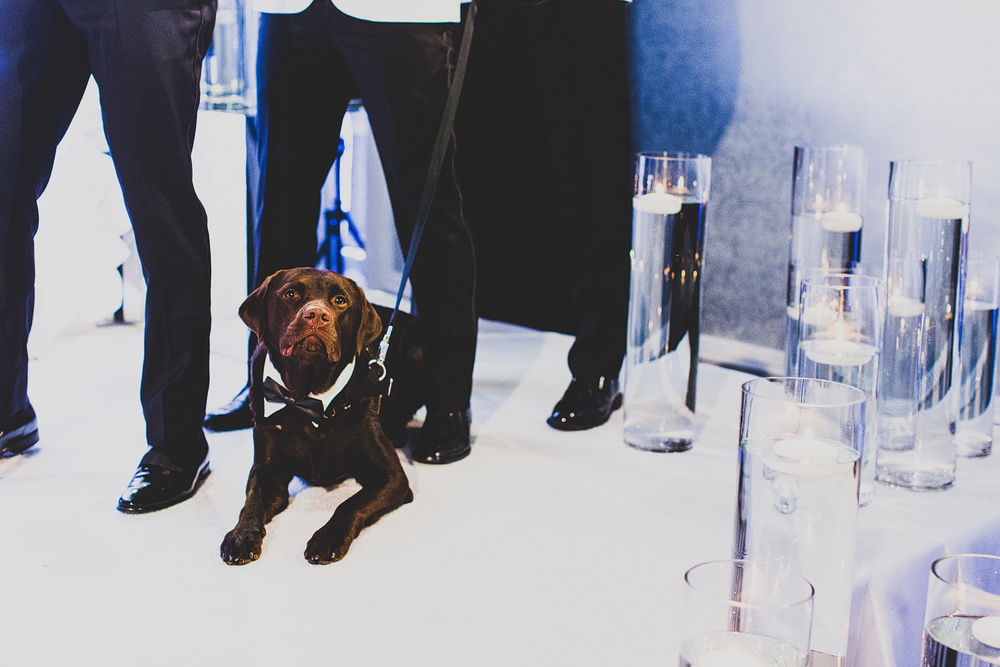 Pittsburgh-Wedding-Photographer-Jess-Jono087
