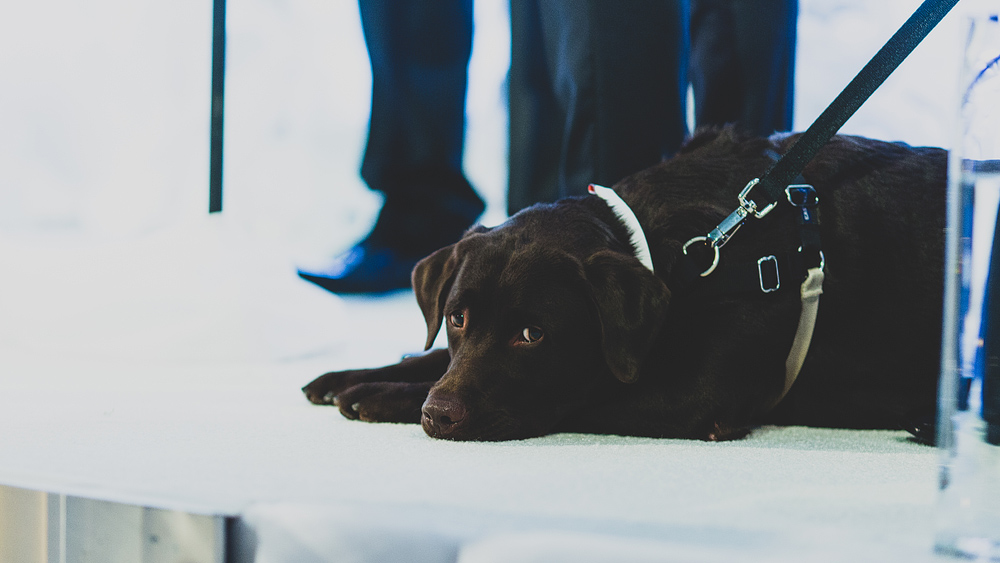 Pittsburgh-Wedding-Photographer-Jess-Jono098