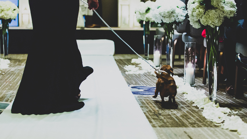 Pittsburgh-Wedding-Photographer-Jess-Jono129
