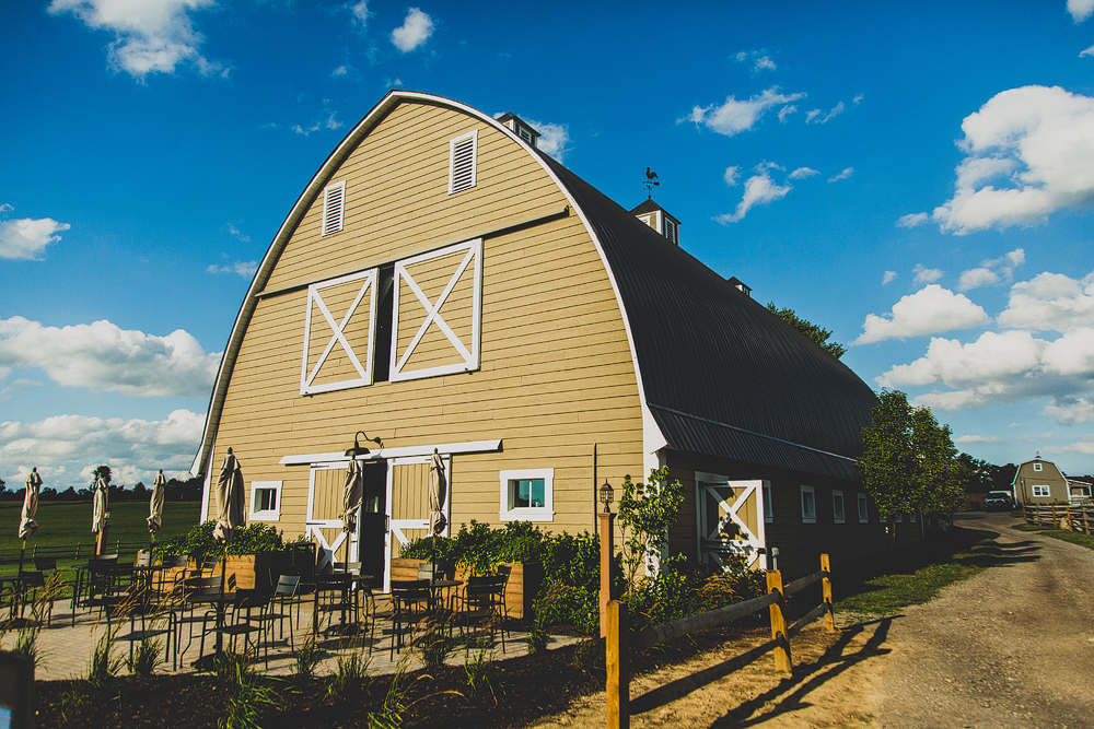 Pittsburgh-Wedding-Photographer-Jess-Jono036
