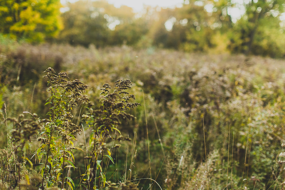 pittsburgh-wedding-photographer-julie-david033