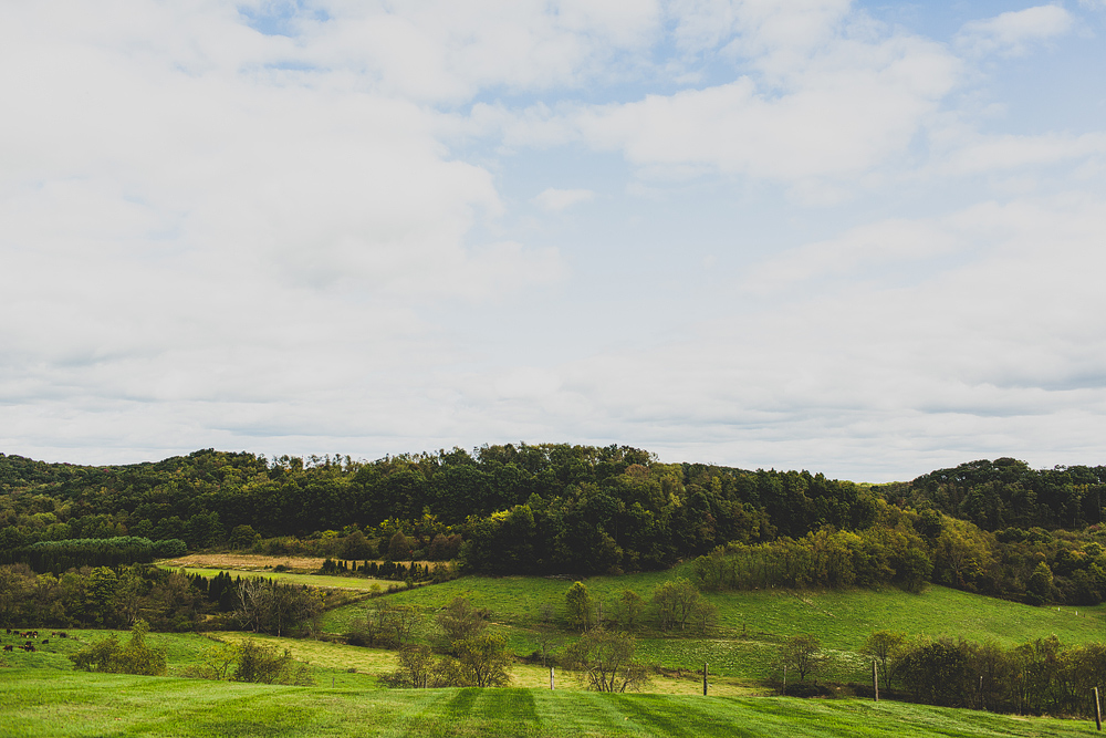 pittsburgh-wedding-photographer-rachel-josh-wedding030